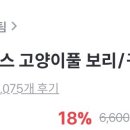 옴뇸뇸 이미지