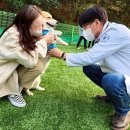 애견운동공원 이미지