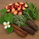 민들레한의원 | 유기농 샴푸 비교 지루성 두피염 관리한 샴푸 후기