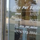 스테이 펫 살롱 이미지