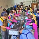 재활용처리장 이미지