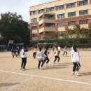 2019년 군포 의왕 학교 스포츠 클럽 축제 피구 대회 이미지