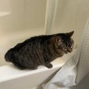 행복한 글쓰기 | 행복한 글쓰기를 위한 전략 ② SMART 기법으로 목표설정과 미루기 극복