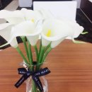 도이치모터스  제주지점 이미지