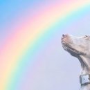 서울동물복지지원센터 동대문 동물병원 이미지