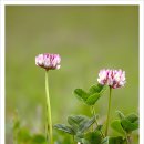 강가에서 이미지