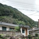 금성휴게소 | [국내_출사]단양 구인사 / 제천 금성제면소, 콘크리트월 후기