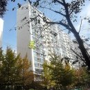 용구대로 2771번길 이미지