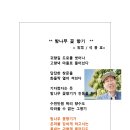 밤나무향기