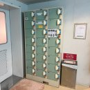 호나 | 부산항 -&gt; 후쿠오카 뉴카멜리아호 (다인실 후기)