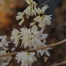 미선농장 2 이미지