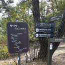 산타 야영장 이미지