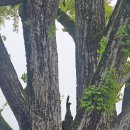 신륵사길 이미지