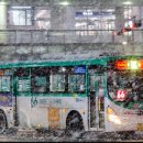 수원-1606 이미지