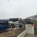 탄천종합운동장(복지관_체육회관내) | 야탑동 플로라 네일 "페디큐어"후기