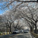 묘곡 경로당 이미지