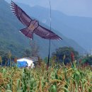 김삿갓면-38 이미지