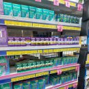 으뜸샾안경 | [호주워홀준비] #06 준비물 확인, 짐 싸기(준비물 리스트 공유), 환전 신청