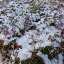 법1동행정복지센터 이미지