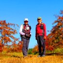 대부해솔길 2코스 이미지