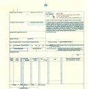 국제 행정사 사무소 이미지