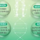 프로프로틴
