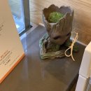 공차영천시청점 이미지