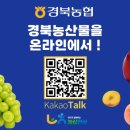 경북 카카오일 경북도민일보