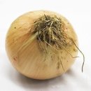 심심출출 이미지