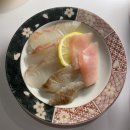 스시돈 | 포항 오마카세 맛집 스시쿄오 내 돈 내산 후기