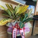 가산건축사사무소 네이버블로그