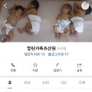 평안조산원 이미지
