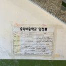 [포항 아이와 가볼만한곳] 단짝 친구와 함께한 숲속미술학교 하루 순삭 후기! (준비물 팁)