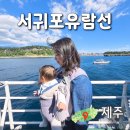 제주 보고정 투어 | 제주 서귀포유람선 시간 가격 예약 할인 코스 후기