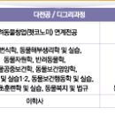 캡스톤 메디컬 이미지