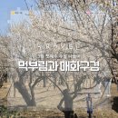 11545-03-32-58 | 3월 나들이/증산국수, 김해용당나루매화공원,카페 노바,로담