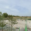 뜨락엔햇살 | [논산 여행] 뜨락엔햇살펜션 애견동반 수영장 애견운동장 보유 숙소