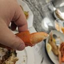 대게,랍스터가 무제한인 초고가 뷔페! 강남, 삼성동에 위치한 크랩52 / 가격 및 예약방법, 예약금