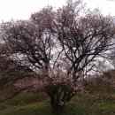 자계고택 이미지