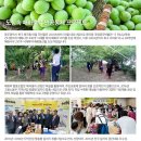 매화락협동조합 이미지