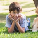 강아지집 이미지