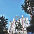 수원-1312 Daum카페