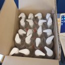 부락종합사회복지관 이미지