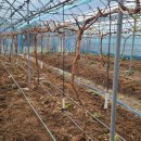 둘이농장 이미지