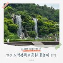 안산 아이와 가볼만한곳｜노적봉폭포공원 텐트 피크닉 물놀이 후기 ⛺