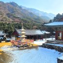 구룡사 Daum카페