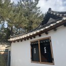 솔(sol) 이미지