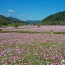 산내교차로 1 이미지