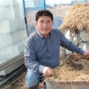 금창농장 이미지