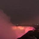 새시대공인중개사사무소 이미지